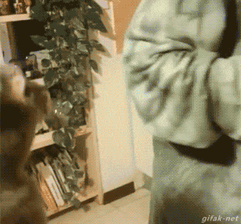 Acid GIFs, April 2 (25 gifs)