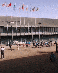 Acid GIFs, April 2 (25 gifs)