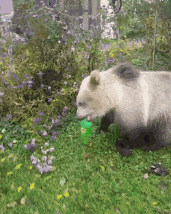 Acid GIFs, April 2 (25 gifs)