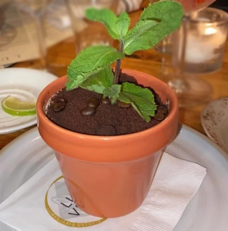 Weird Food Serving (15 pics)