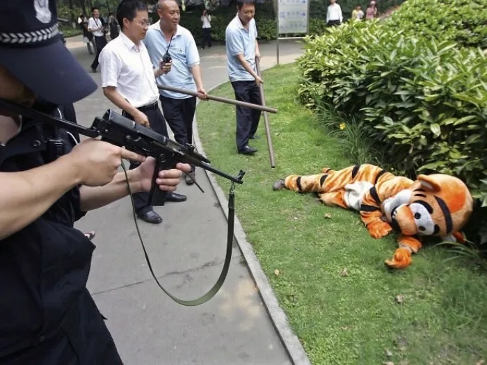 Strange Asians (15 pics)