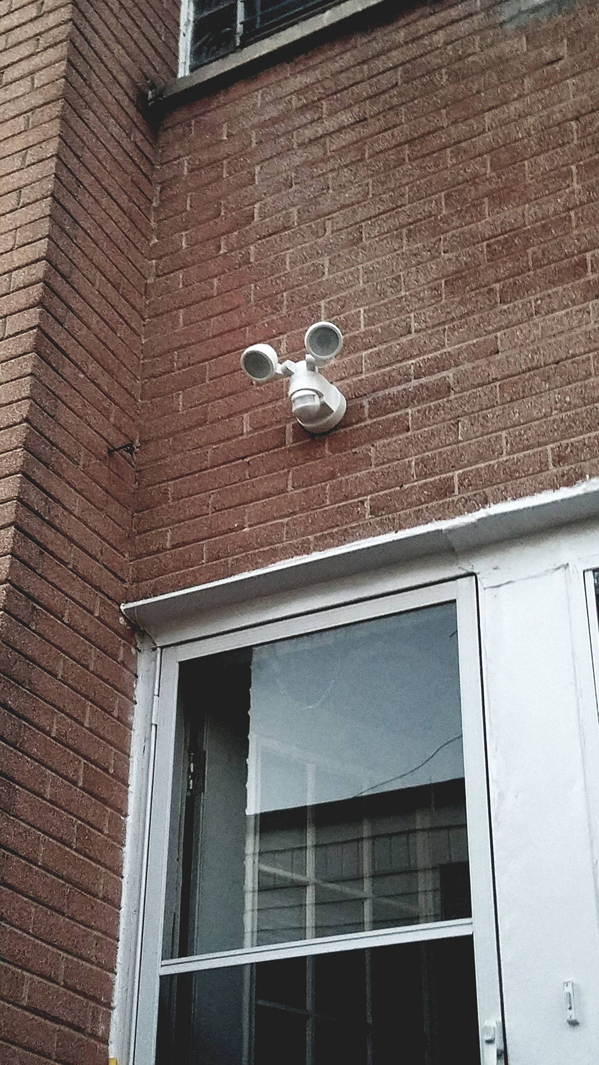 Daily Pictures. Part 1 (75 pics)