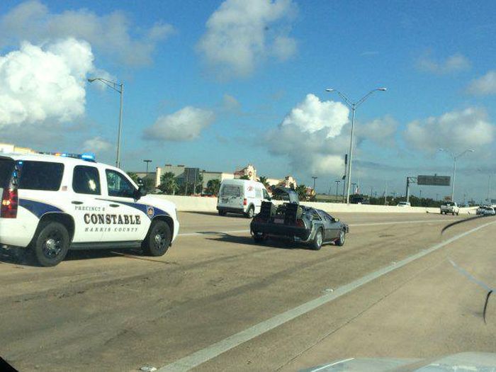 Daily Pictures. Part 1 (75 pics)