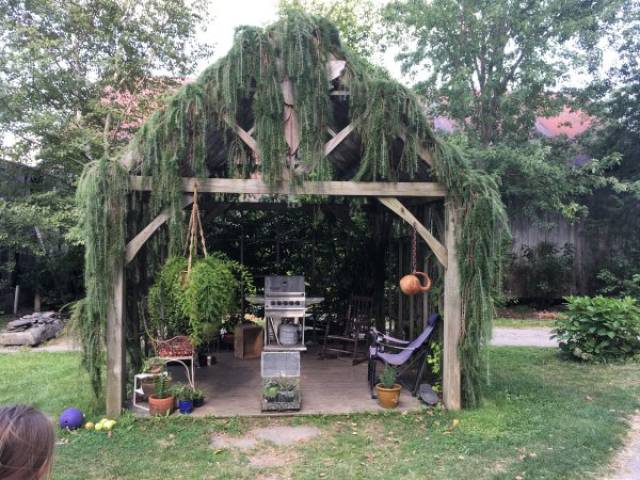 Daily Pictures. Part 1 (75 pics)