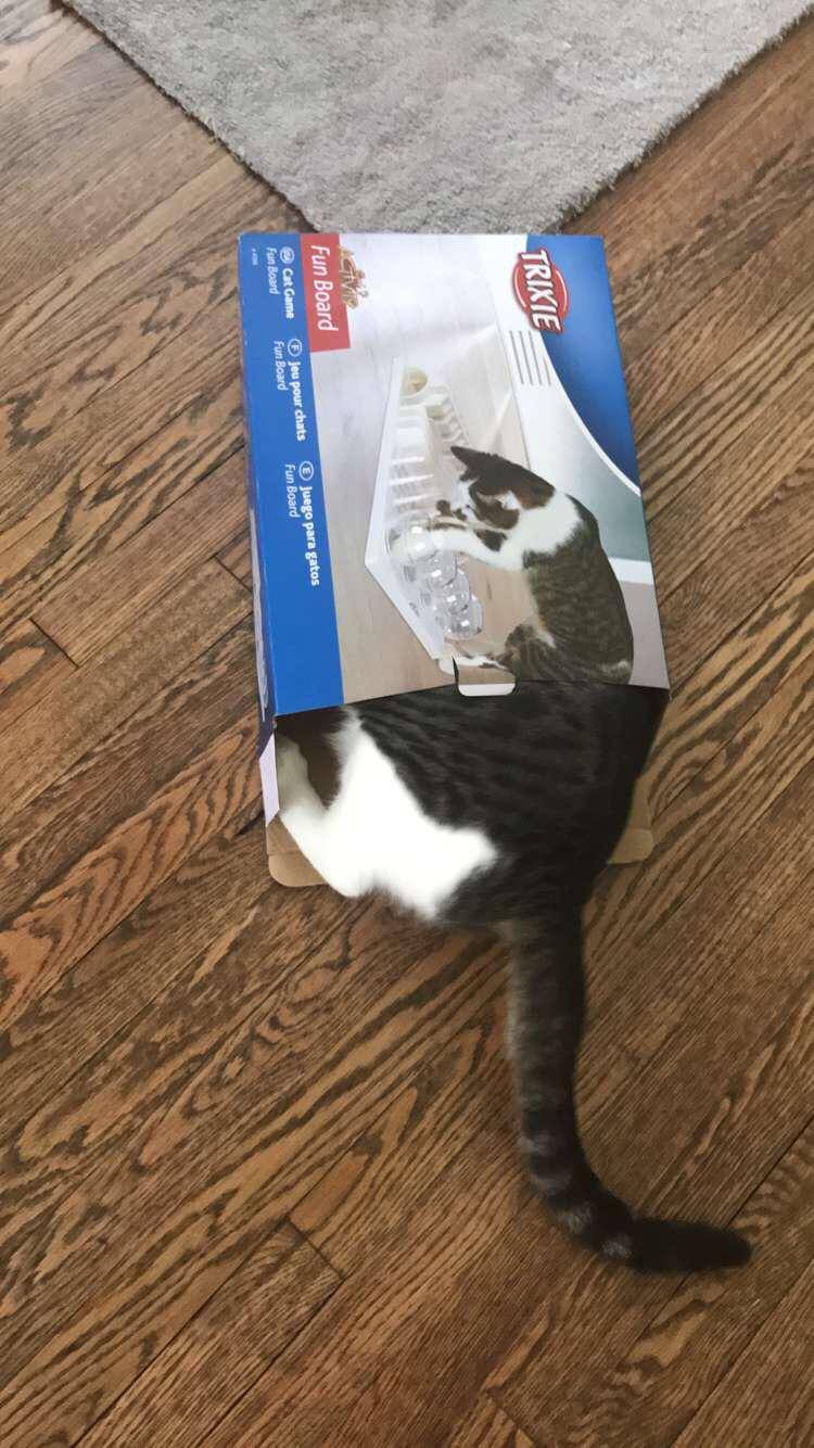 Daily Pictures. Part 1 (75 pics)