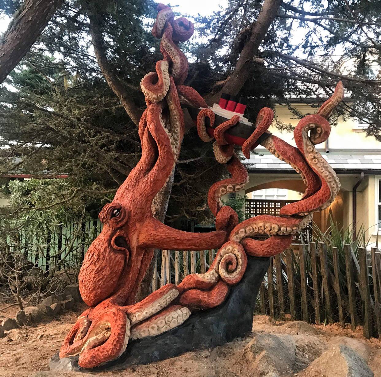 Daily Pictures. Part 1 (75 pics)