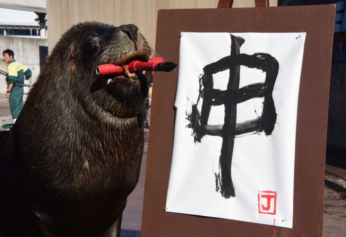 Daily Pictures. Part 1 (75 pics)