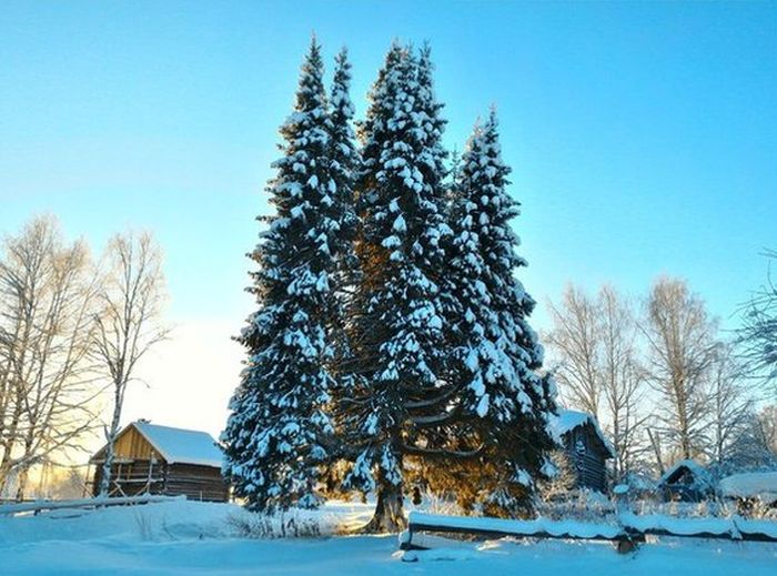 Daily Pictures. Part 1 (75 pics)