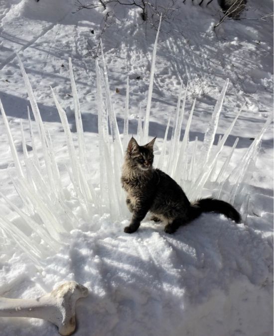 Daily Pictures. Part 1 (75 pics)