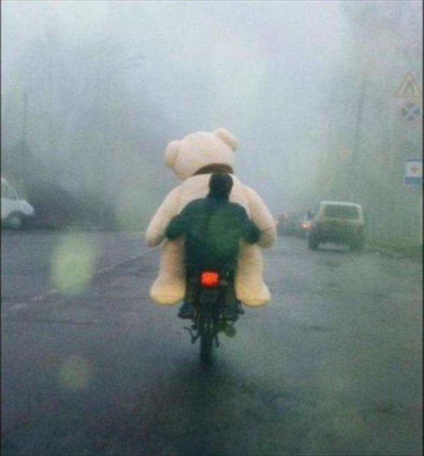 Daily Pictures. Part 1 (75 pics)