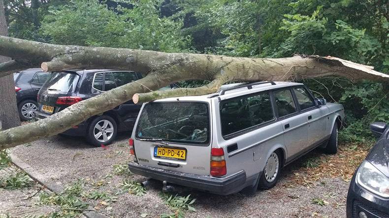 Daily Pictures. Part 1 (75 pics)