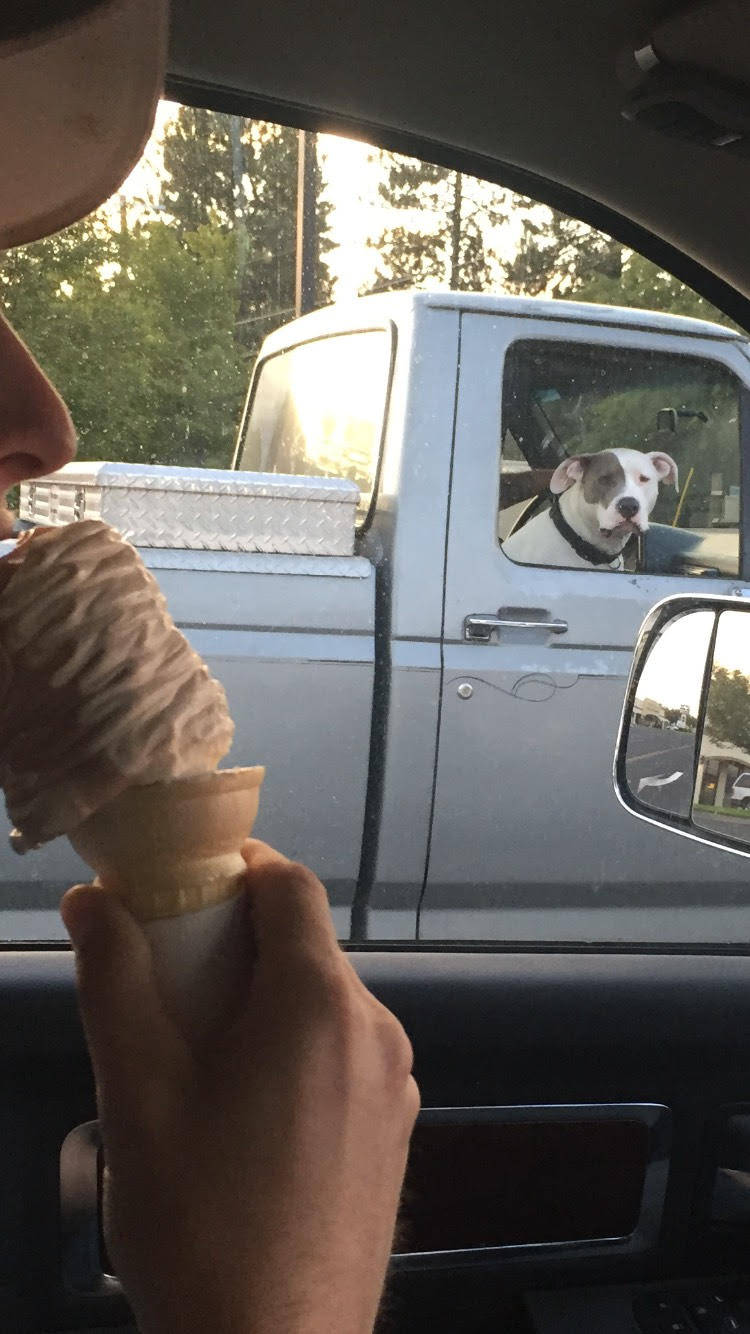 Daily Pictures. Part 1 (75 pics)