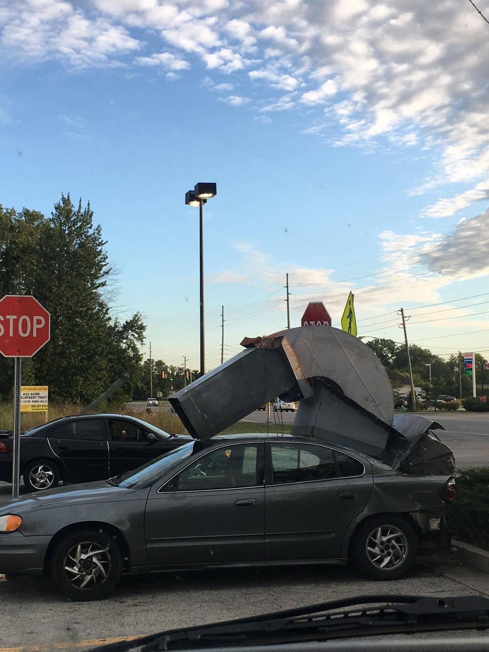 Daily Pictures. Part 1 (75 pics)