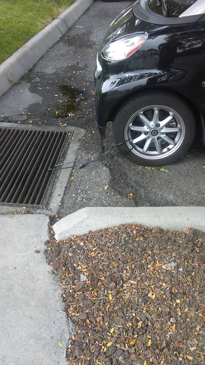 Daily Pictures. Part 1 (75 pics)