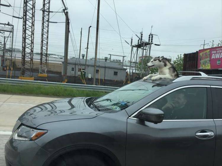 Daily Pictures. Part 1 (75 pics)