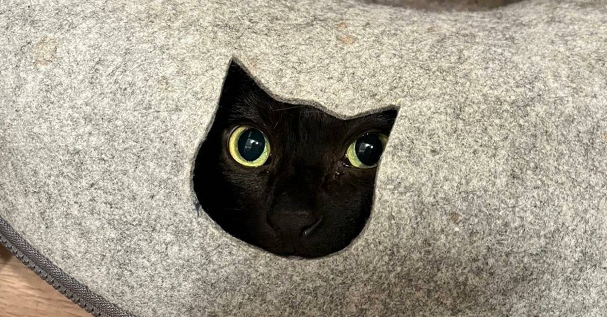 Daily Pictures. Part 2 (74 pics)