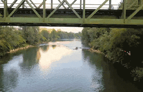 Acid GIFs, April 3 (25 gifs)