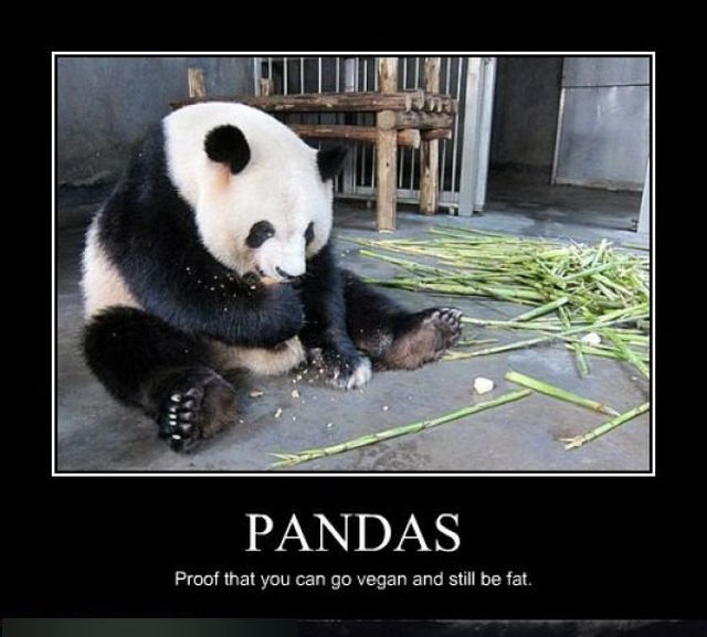 Funny Demotivators (14 pics)