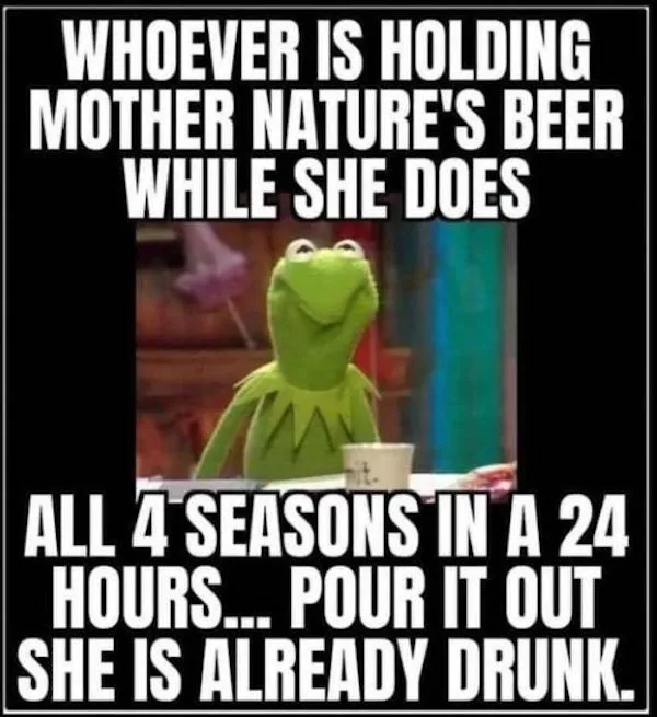 Funny Memes (31 pics)