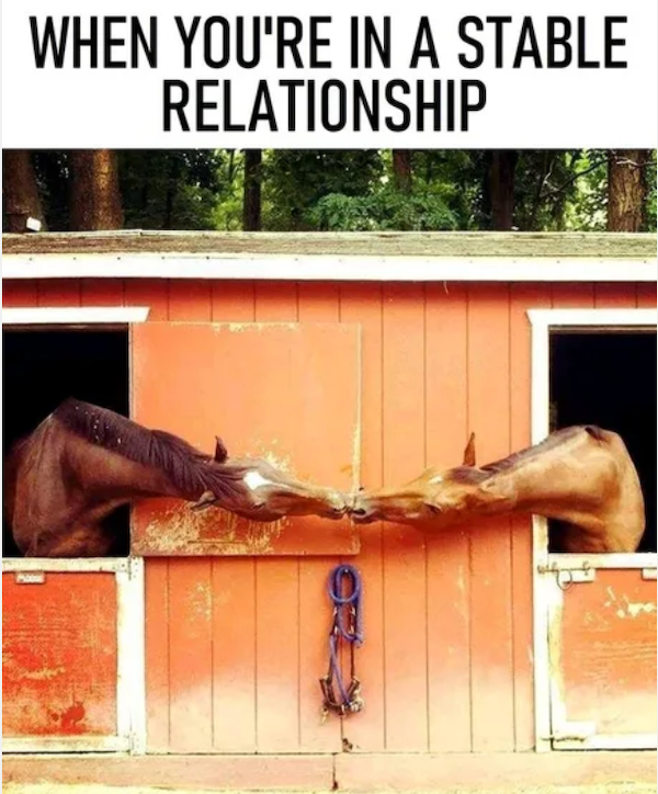 Funny Memes (31 pics)