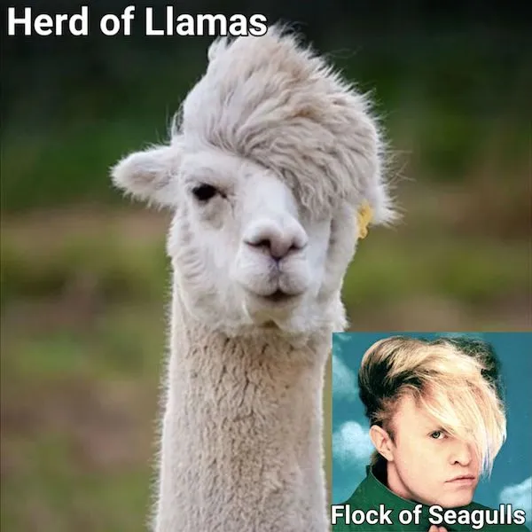 Funny Memes (31 pics)