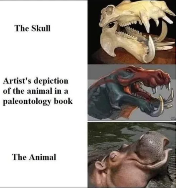 Funny Memes (31 pics)