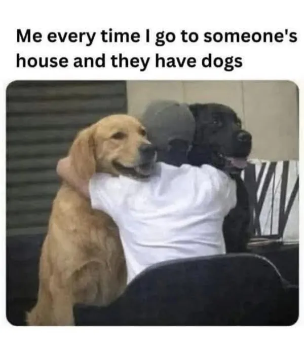 Truthful Memes (20 pics)
