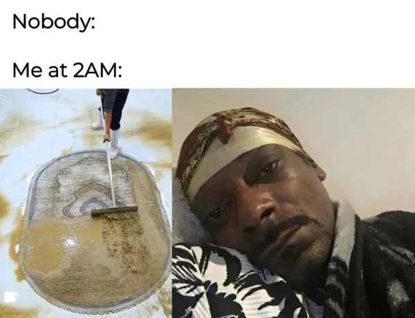 Truthful Memes (20 pics)