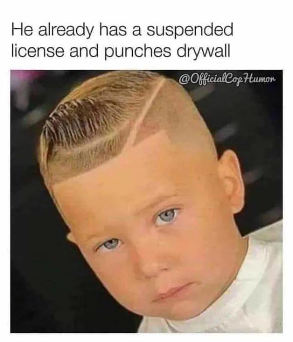 Truthful Memes (20 pics)