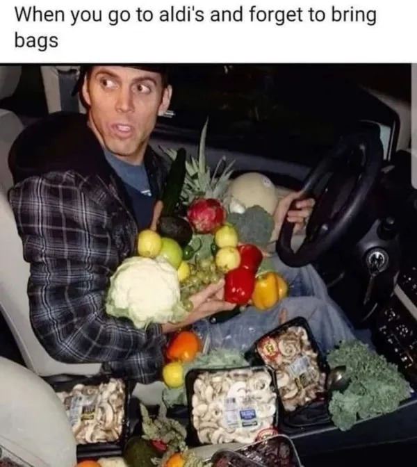 Truthful Memes (20 pics)