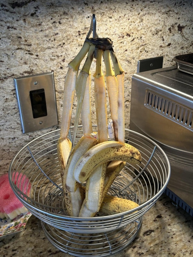 Culinary Fails (16 pics)