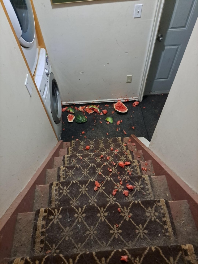 Culinary Fails (16 pics)