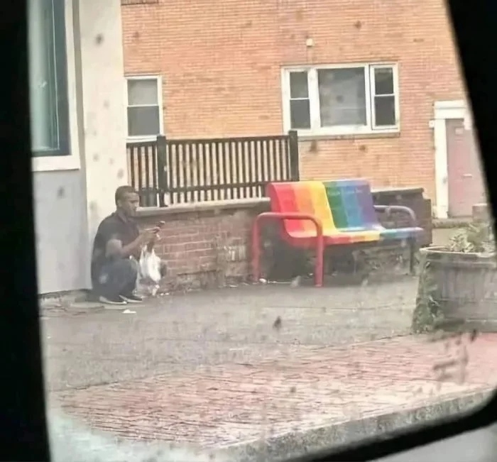 What Is Going On Here? (15 pics)