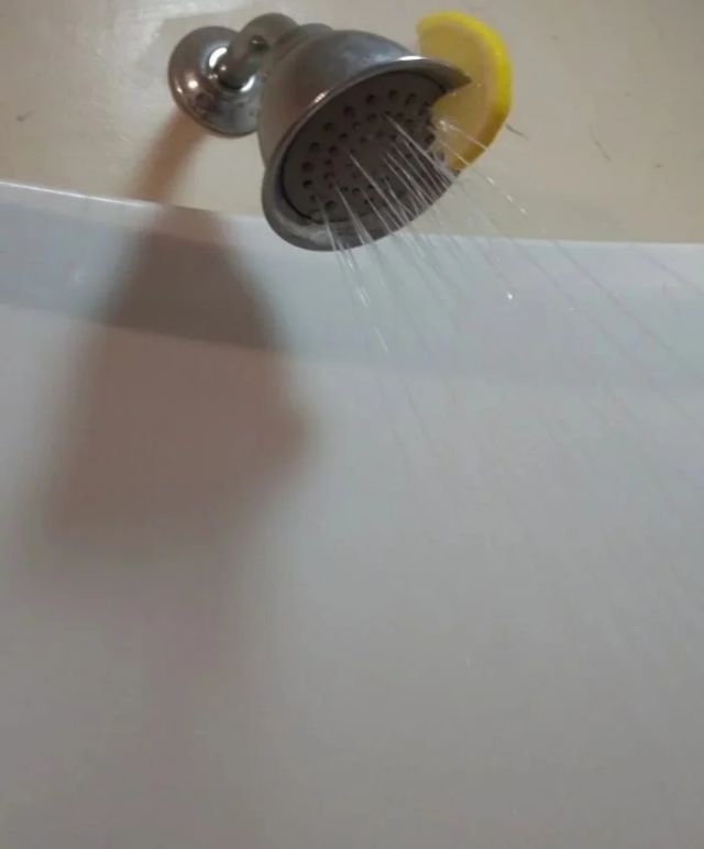 What Is Going On Here? (15 pics)