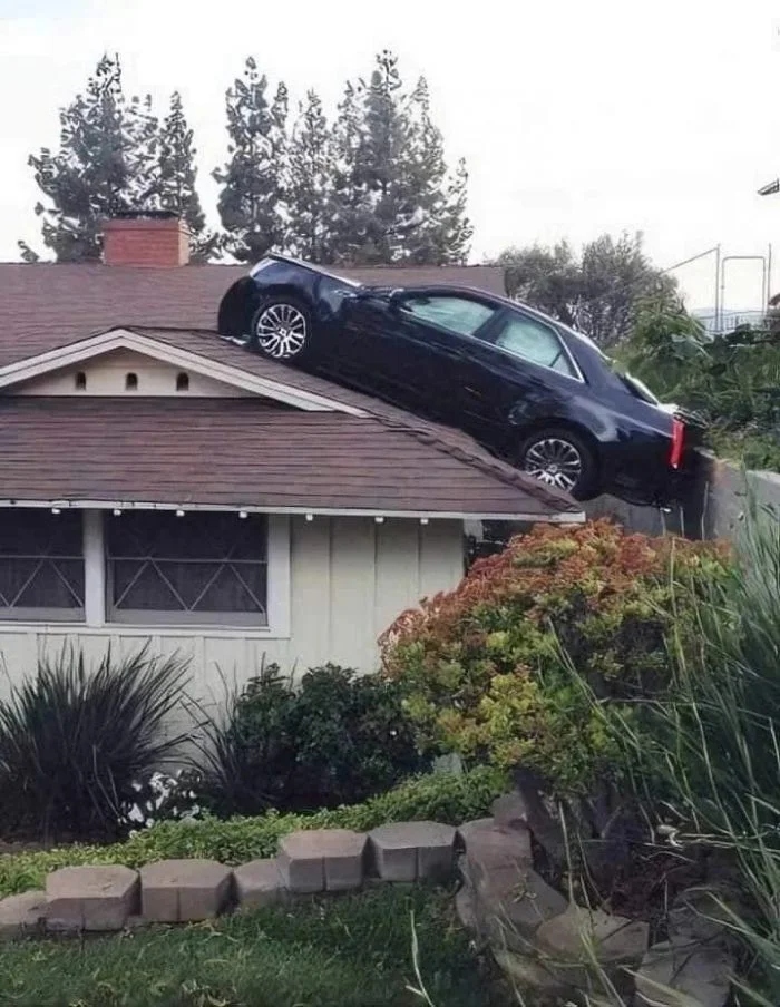 What Is Going On Here? (15 pics)