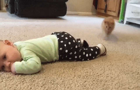 Acid GIFs, April 6 (25 gifs)