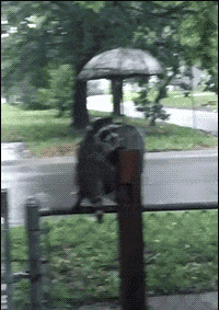 Acid GIFs, April 6 (25 gifs)