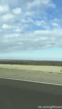 Acid GIFs, April 6 (25 gifs)