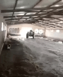 Acid GIFs, April 6 (25 gifs)