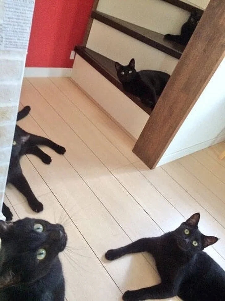 Unexpected Coincidences (18 pics)