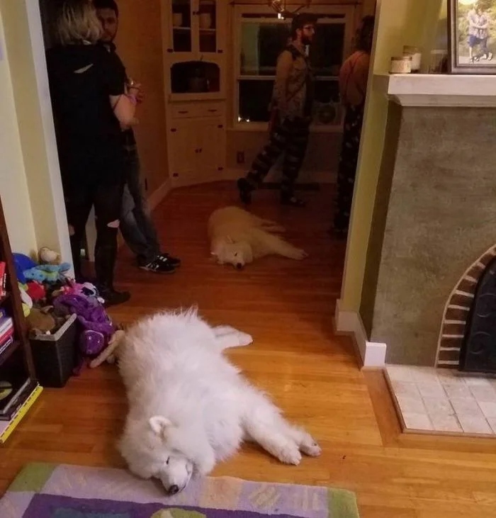 Unexpected Coincidences (18 pics)