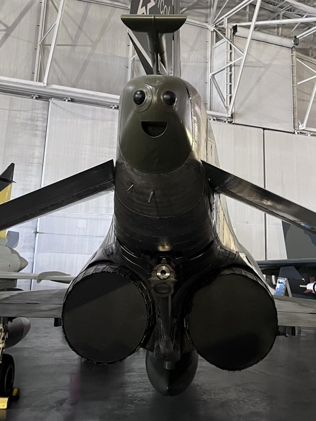 This Is Pareidolia (17 pics)