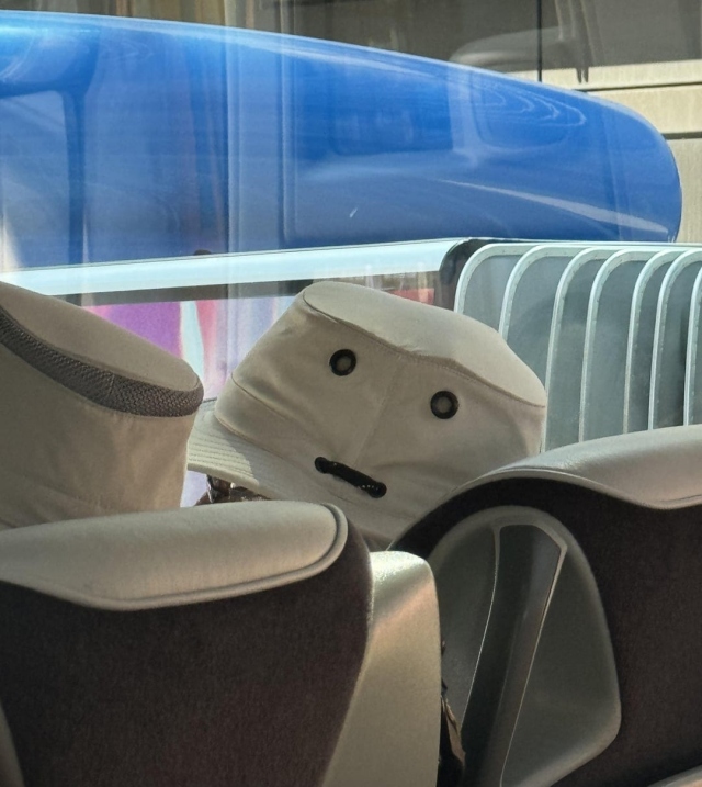 This Is Pareidolia (17 pics)