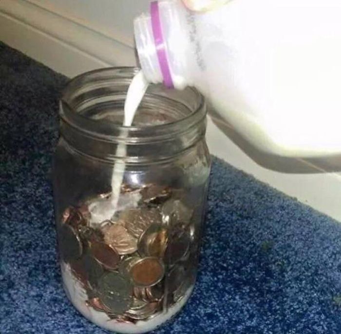 Daily Pictures. Part 2 (66 pics)