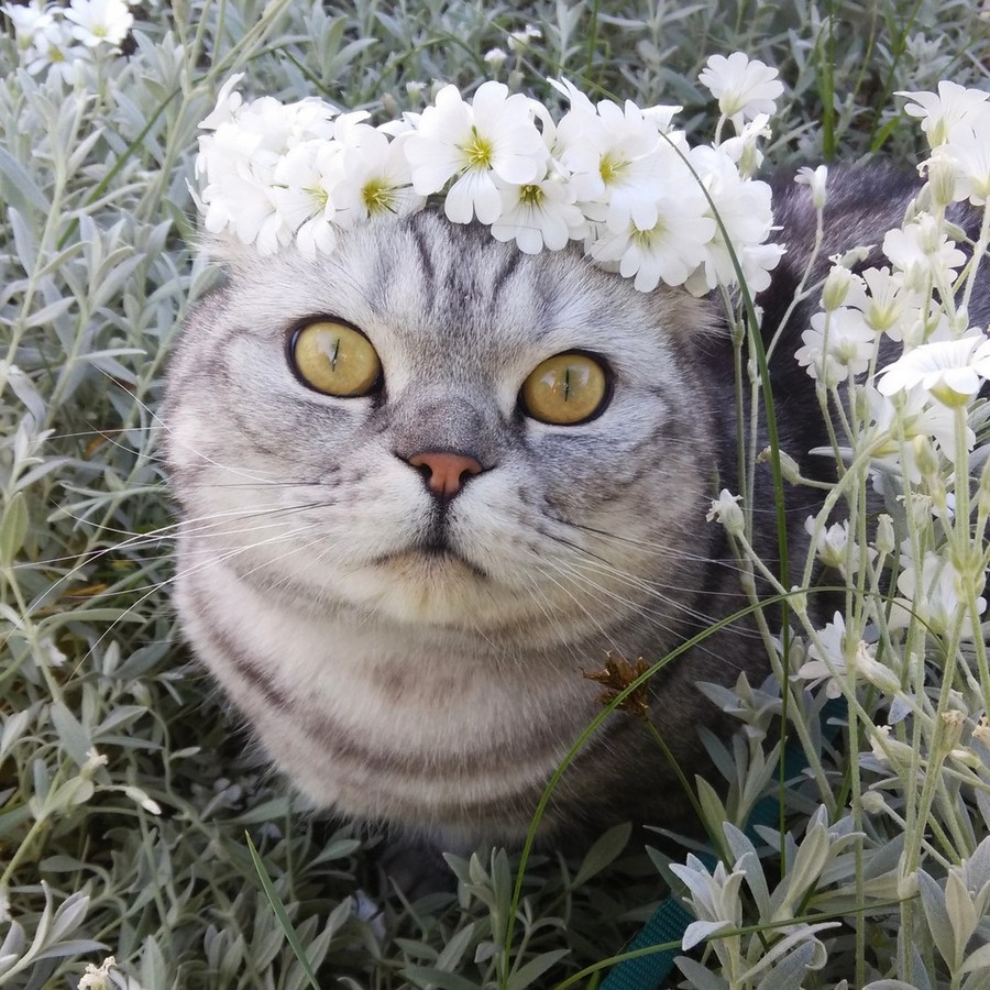 Daily Pictures. Part 2 (66 pics)