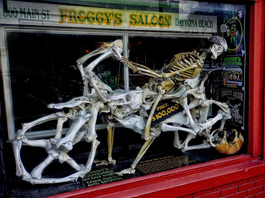 Daily Pictures. Part 2 (66 pics)