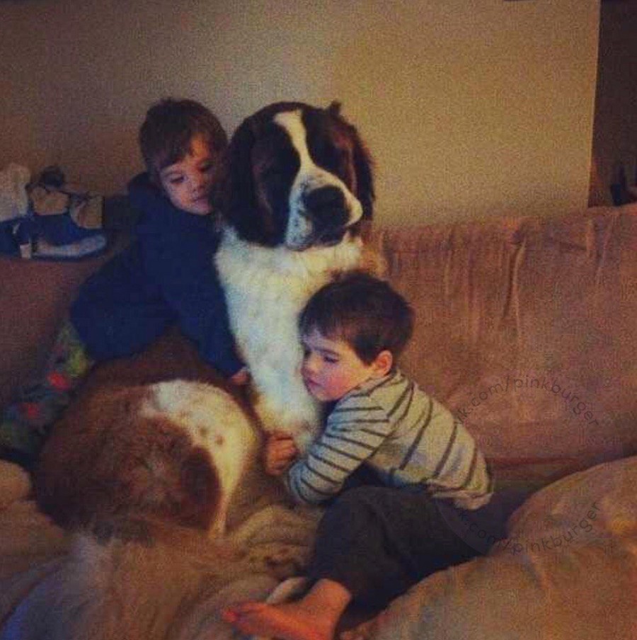 Daily Pictures. Part 2 (66 pics)