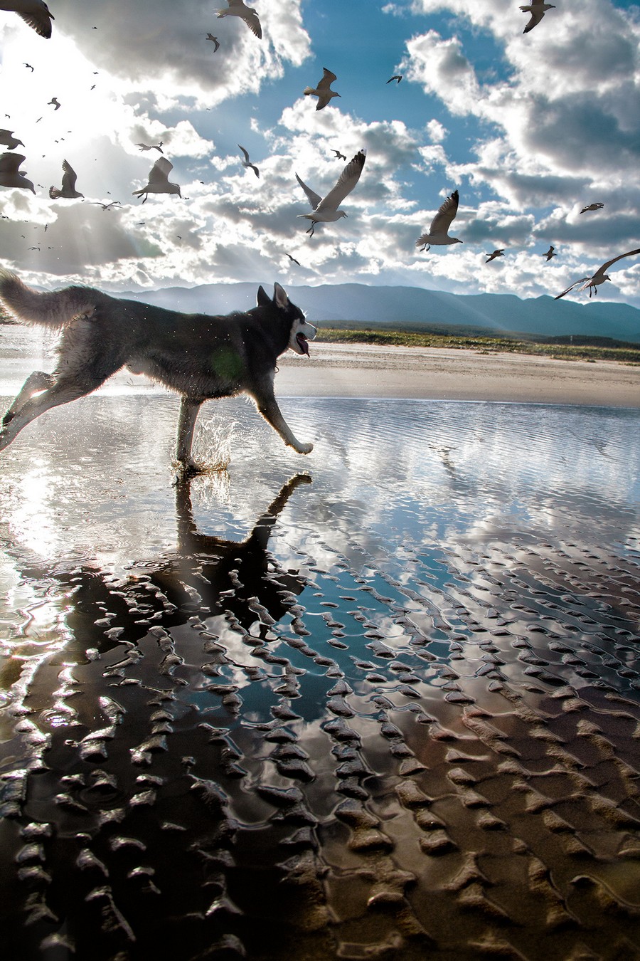 Daily Pictures. Part 2 (66 pics)