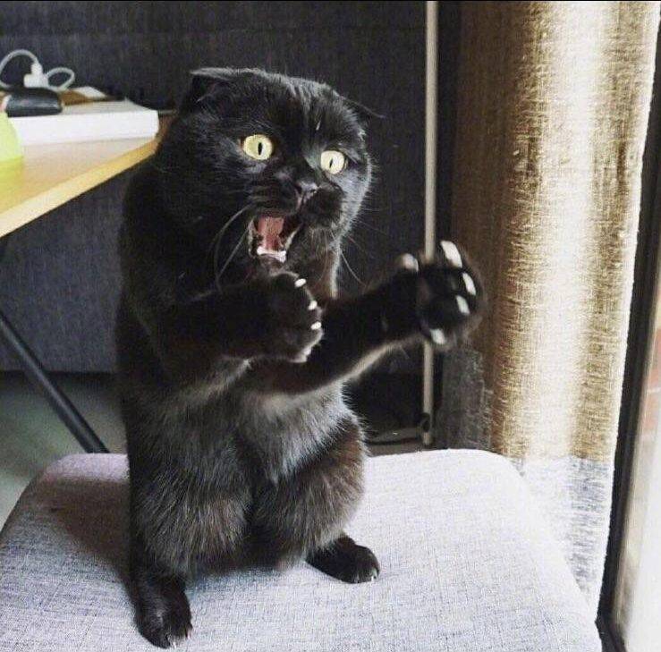 Daily Pictures. Part 2 (66 pics)