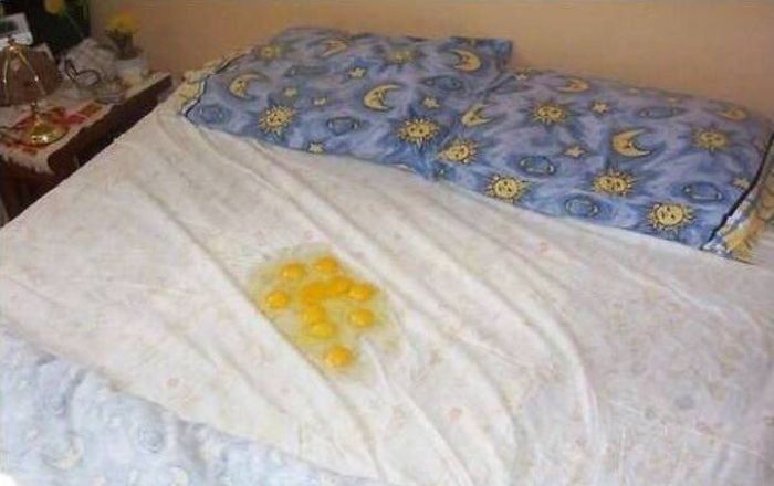 Daily Pictures. Part 2 (66 pics)